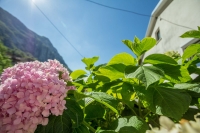 003_Ferjancic_Vipava