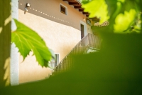 004_Ferjancic_Vipava